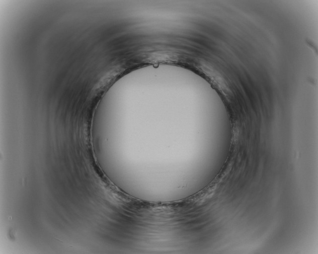 X0000096190353200801181013