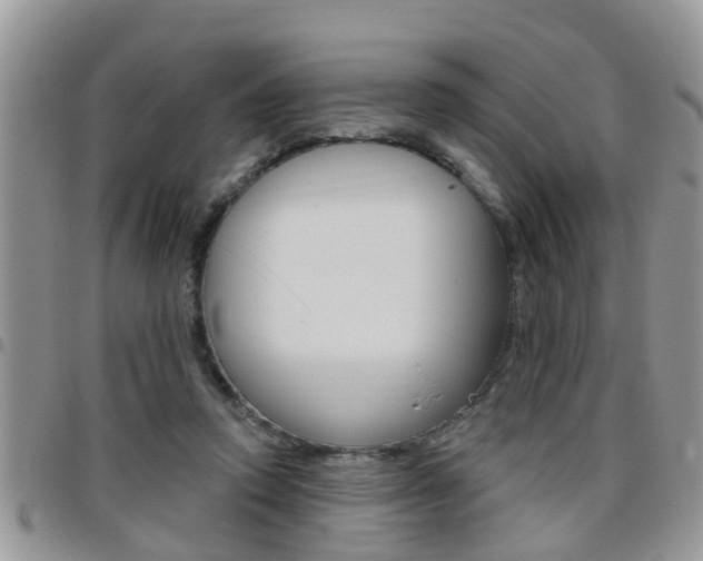 X0000096190354200801181013