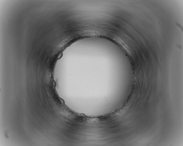 X0000096190355200801181013