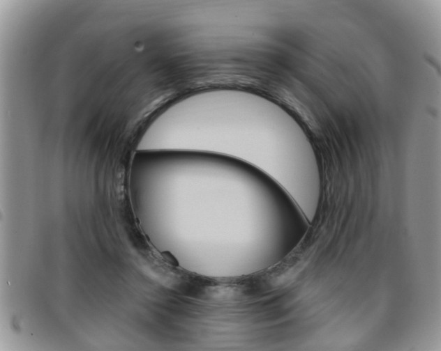 X0000096190356200801181013