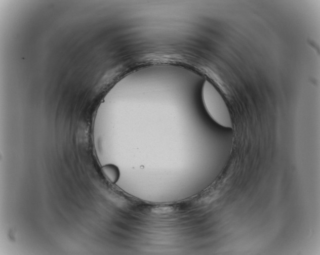 X0000096190357200801181013