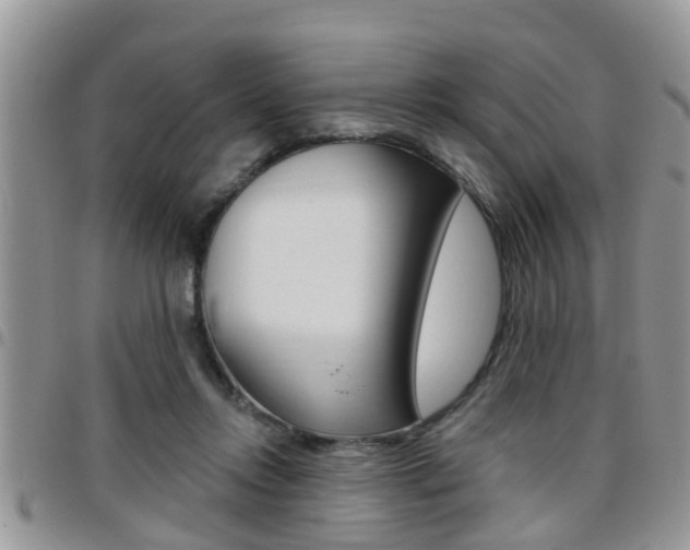 X0000096190358200801181013
