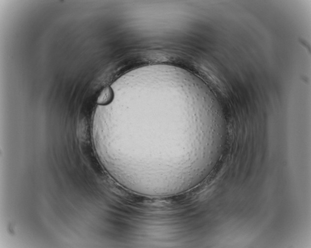 X0000096190359200801181013