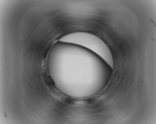 X0000096190360200801181013