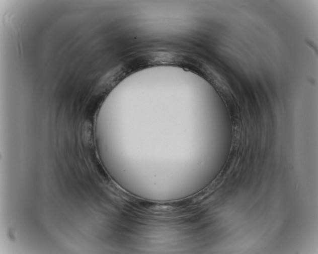 X0000096190361200801181013