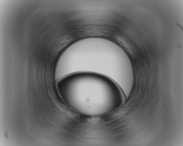 X0000096190362200801181013