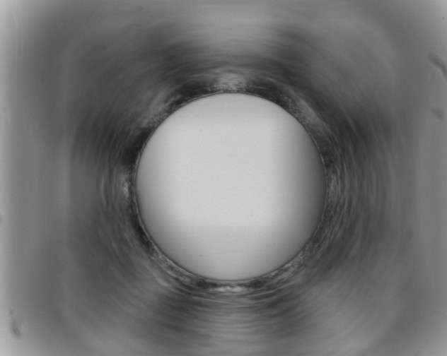X0000096190363200801181013