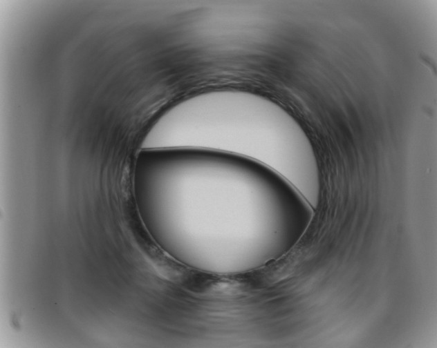 X0000096190364200801181014