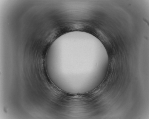 X0000096190366200801181014