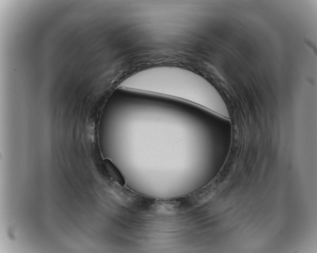 X0000096190368200801181014