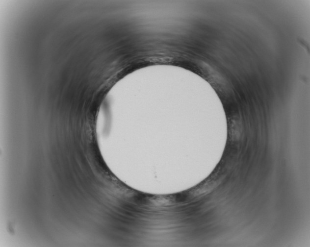 X0000096190370200801181014
