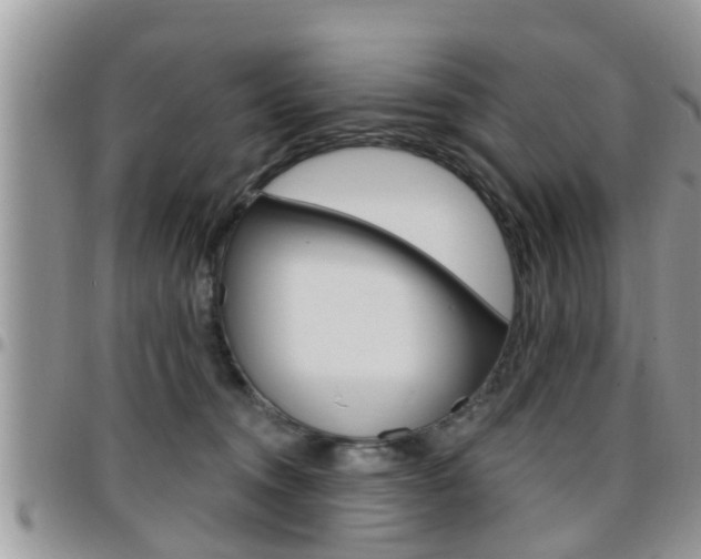 X0000096190372200801181014