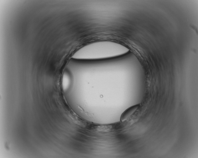 X0000096190373200801181014