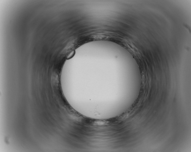X0000096190375200801181014