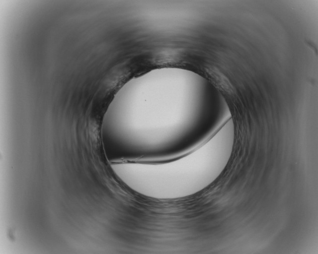 X0000096190380200801181014