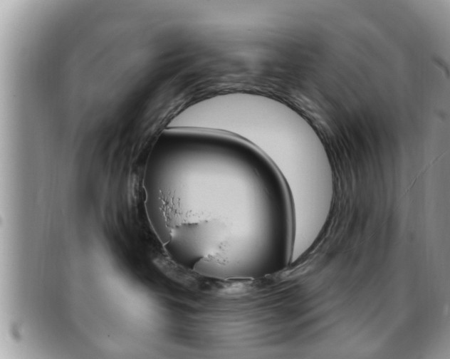 X0000096190382200801181014