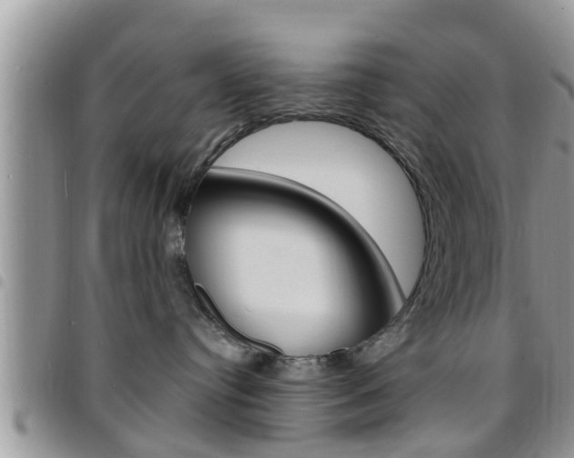X0000096190384200801181014