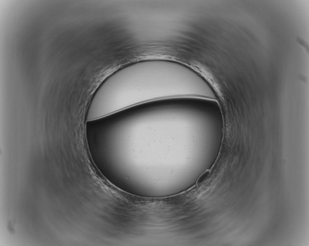 X0000096190385200801181013