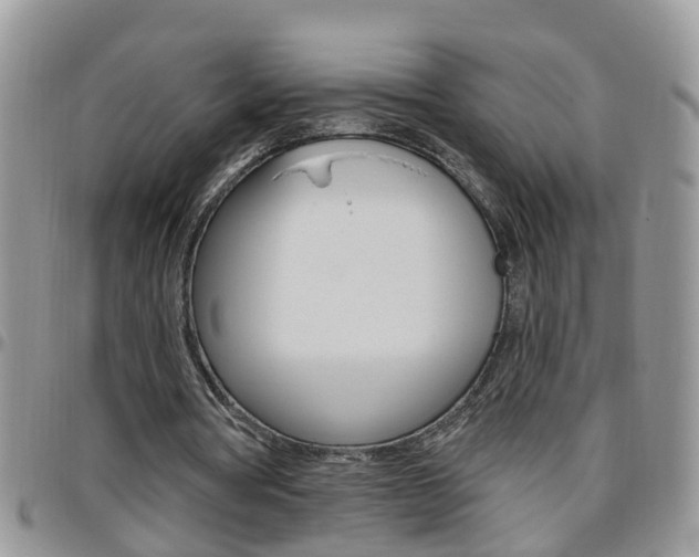 X0000096190386200801181013