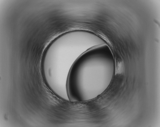 X0000096190387200801181013