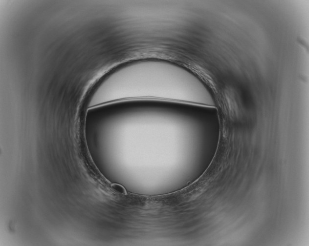 X0000096190388200801181013