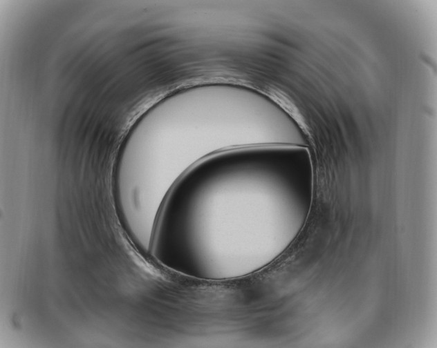 X0000096190389200801181013