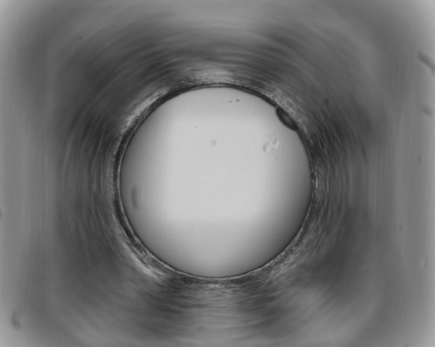 X0000096190390200801181013