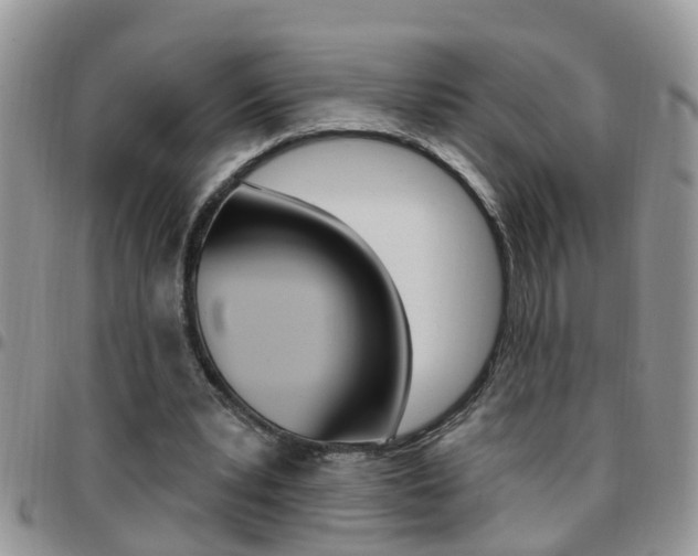 X0000096190391200801181013