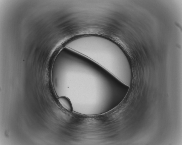 X0000096190392200801181013