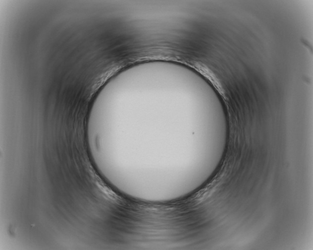 X0000096190393200801181013