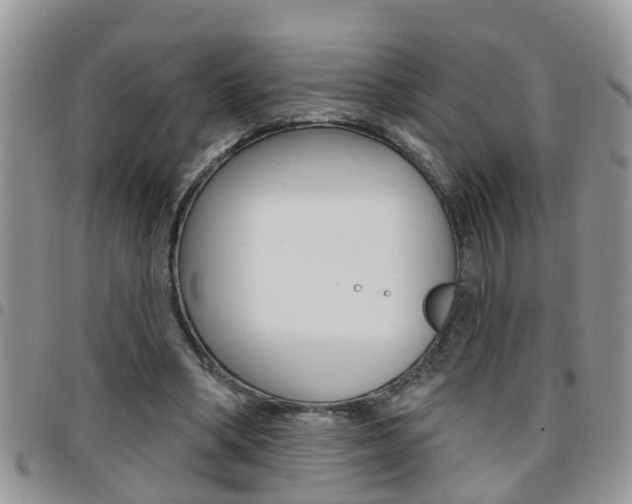 X0000096190394200801181013