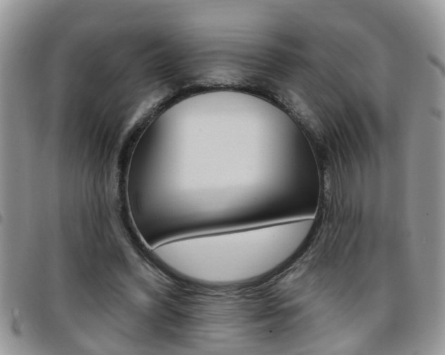 X0000096190396200801181013