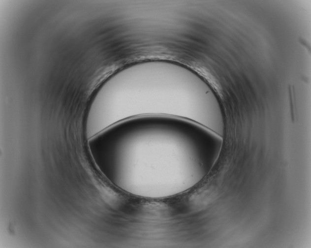 X0000096190397200801181013