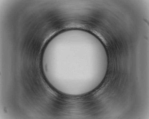 X0000096190399200801181013