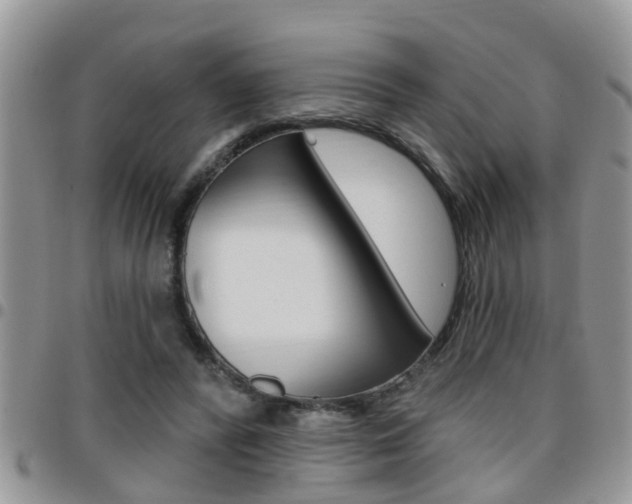 X0000096190400200801181013
