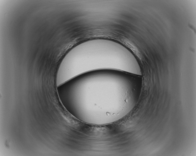 X0000096190401200801181013