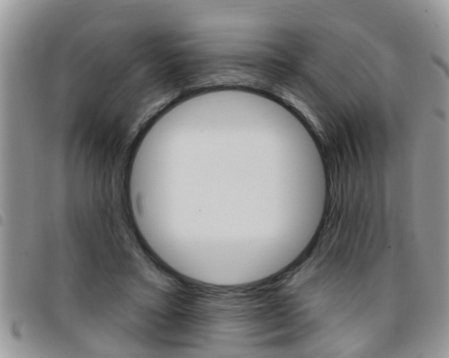 X0000096190403200801181013