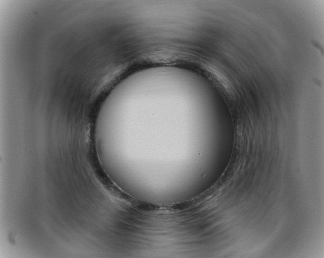 X0000096190404200801181013