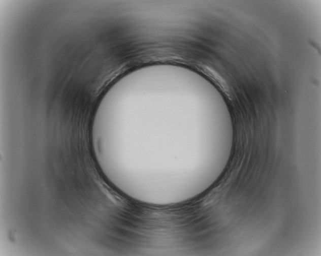 X0000096190405200801181013