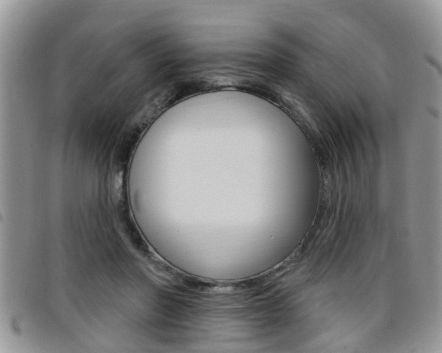 X0000096190406200801181013