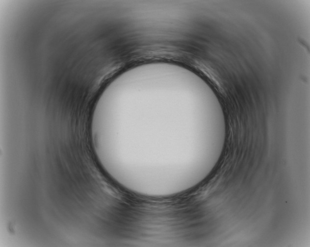 X0000096190407200801181013