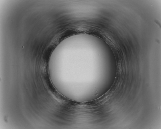X0000096190408200801181013