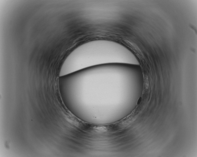 X0000096190409200801181013