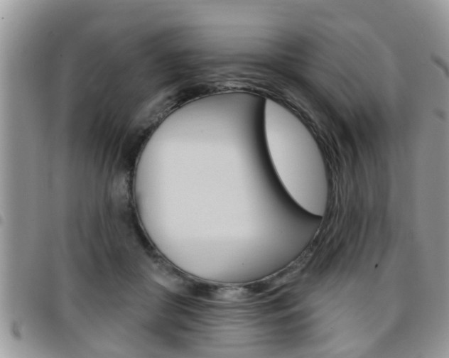 X0000096190410200801181013