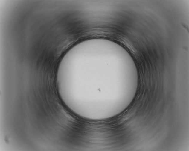 X0000096190411200801181013