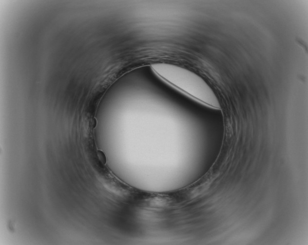 X0000096190412200801181013