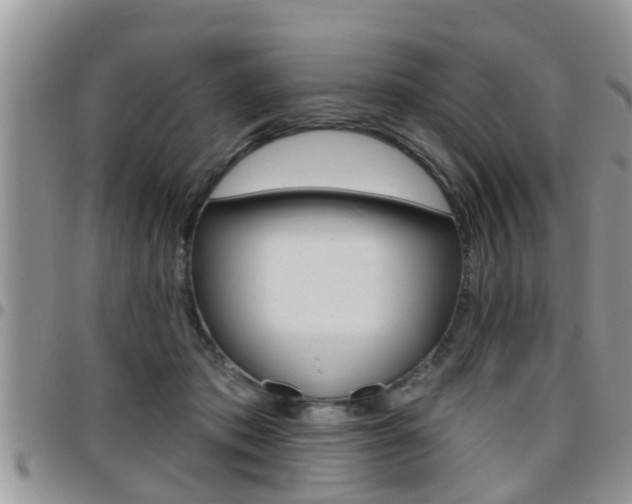 X0000096190413200801181013