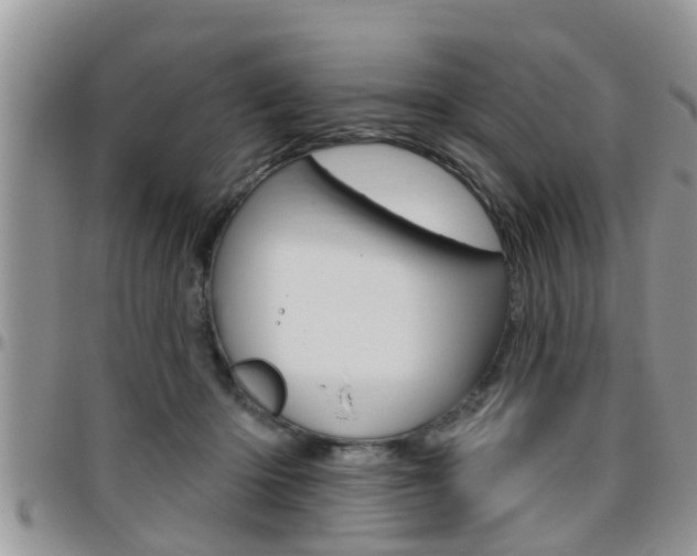 X0000096190414200801181013