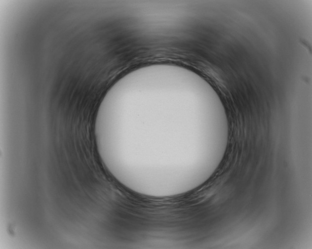X0000096190415200801181013