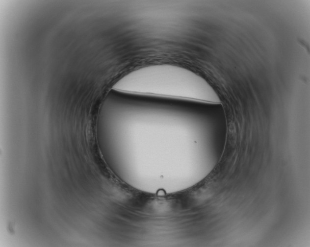 X0000096190416200801181013